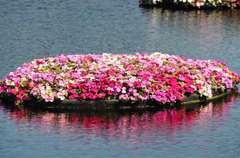 高分子纖維浮動(dòng)濕地 高分子纖維浮動(dòng)濕地